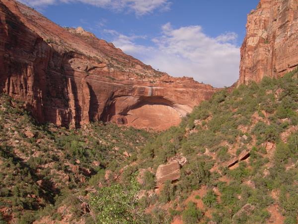 Zion N.P.