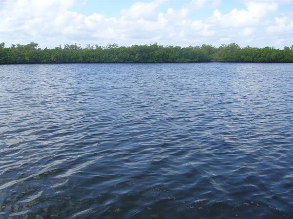 Laguna Negra, Sian Ka'an