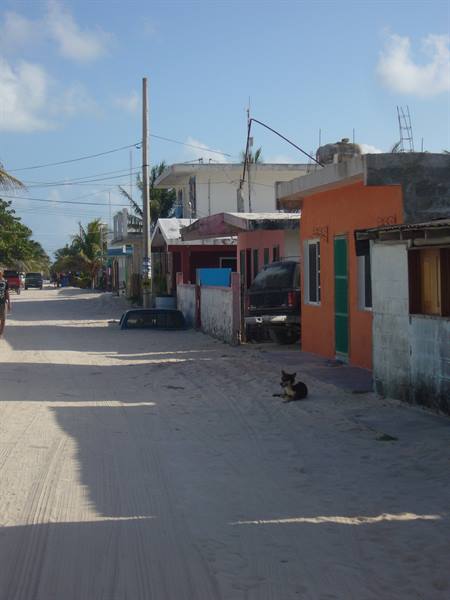 Punta Allen