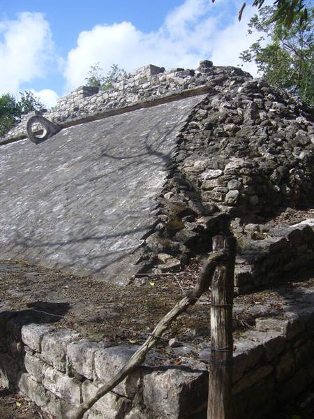 Cobá