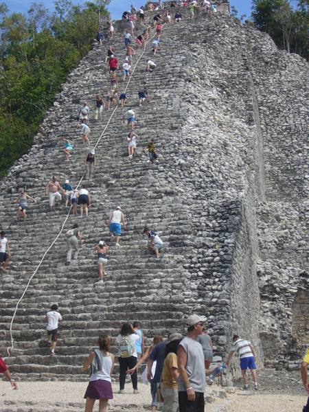 Cobá