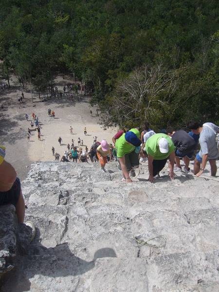 Cobá