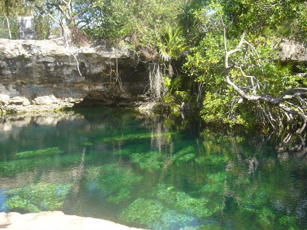 Cenote Cristalino