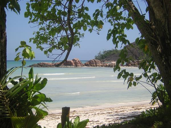 Our beach 1
