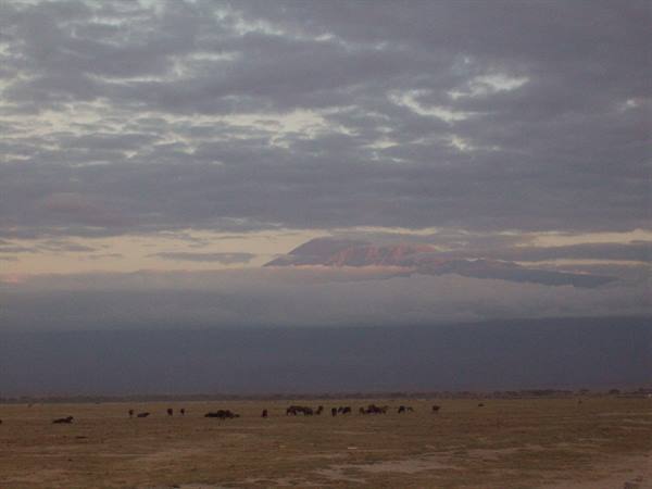 KILIMANJARO