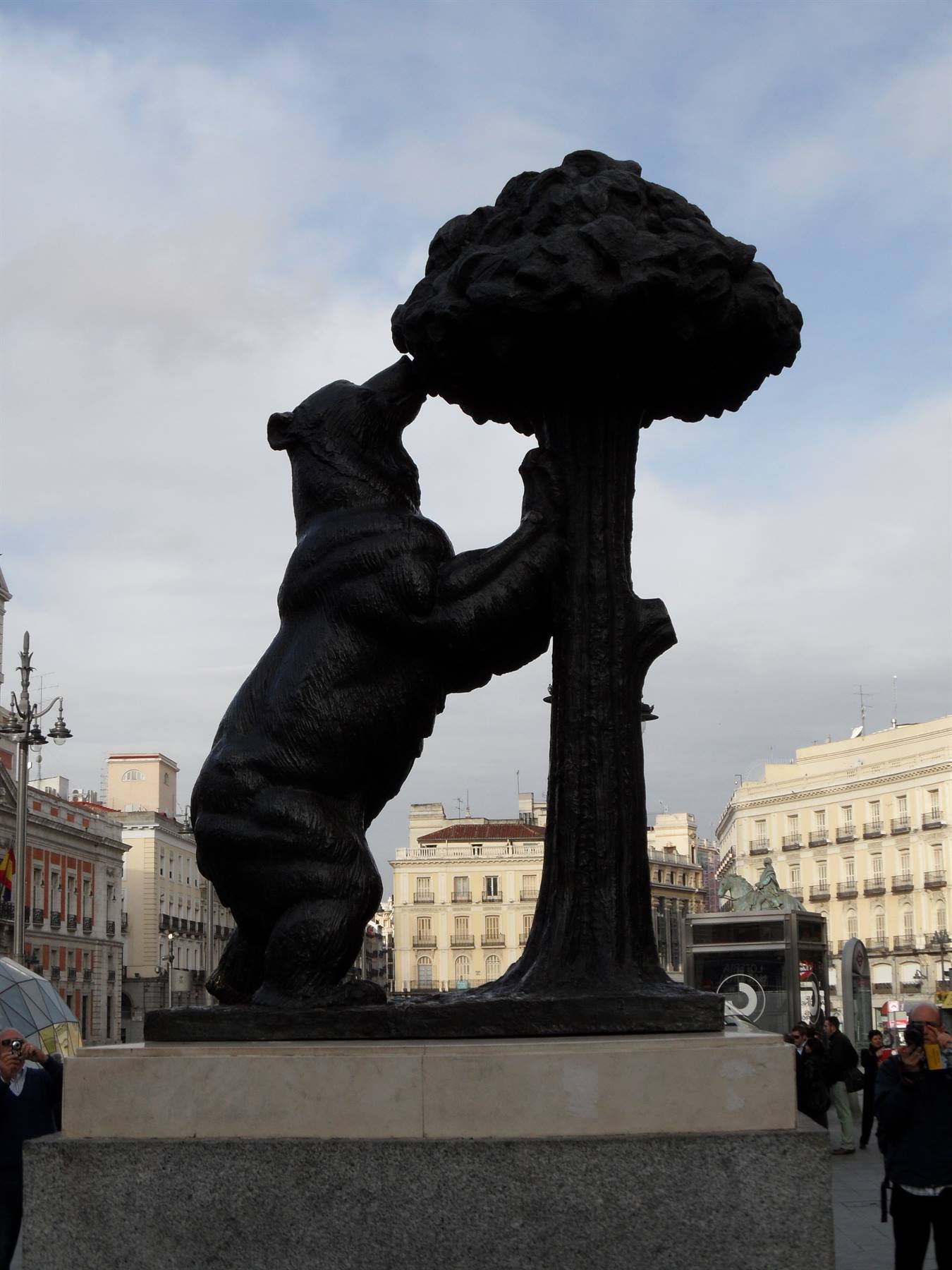 The bear and the strawberry tree
