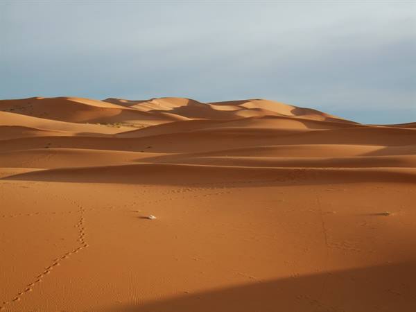 Erg Chebbi at dawn