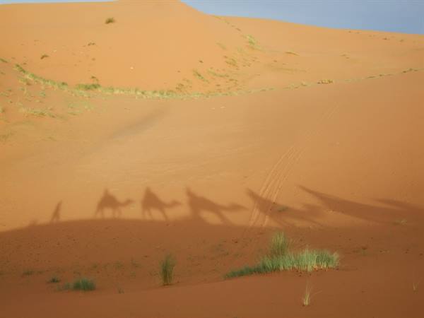 Shadows on the way