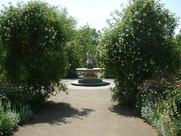 London - Hyde Park (the Rose Garden)