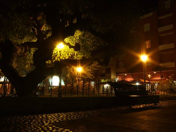 Puerto Cruz (Tenerife) by night