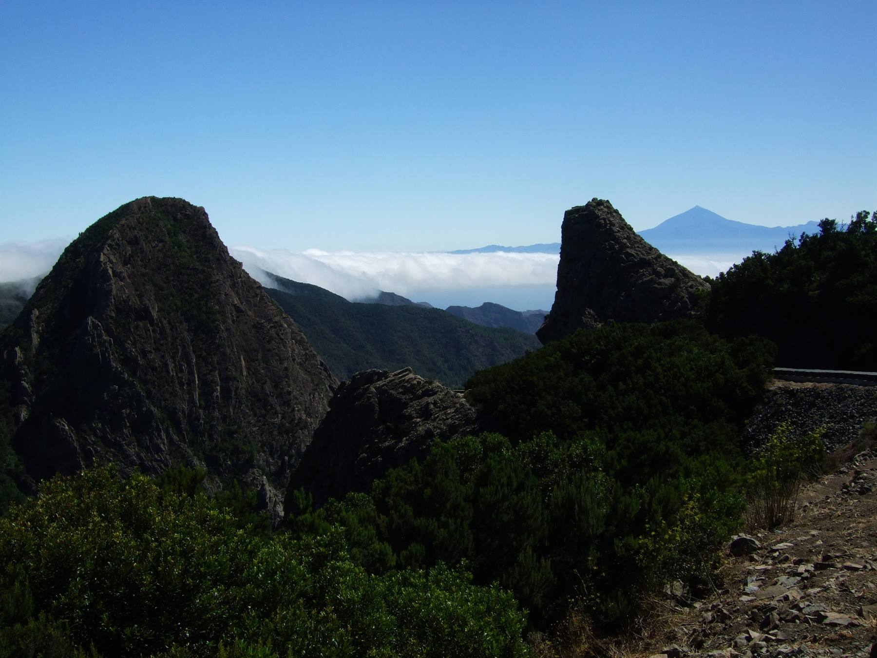 The Teide (Tenerife) from Garajonay Park (La Gomera)