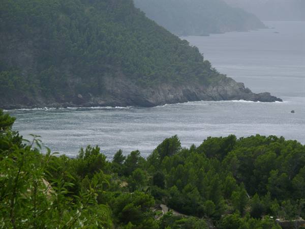 Rocky coastline with dark green pine trees and grey sea under overcast sky