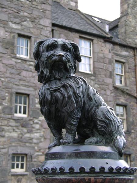 Bobby Greyfriars: the little dog who for 14 years watched over his master's grave