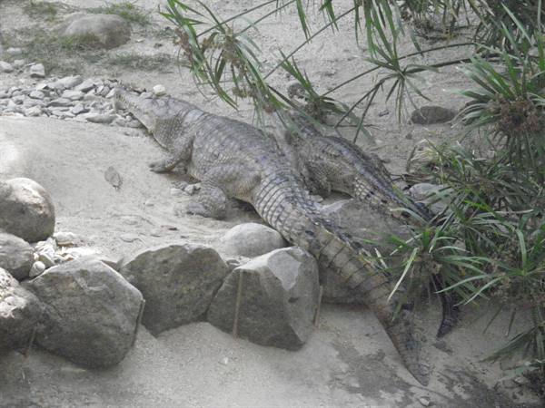 careful swimming....