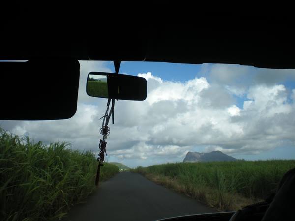 Car driving on road between sugarcane fields, mountain among clouds