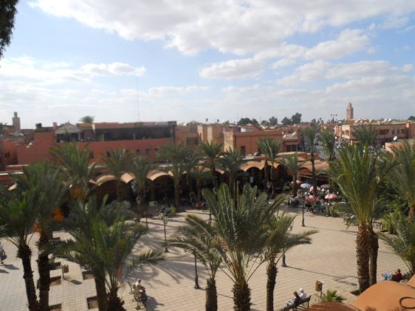 Palm trees and café terraces on a sunny square in Marrakech