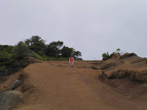 Tourist in red shirt walking on red dirt trail among trees
