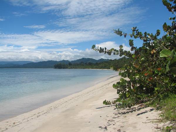 Pale sandy beach with green foliage and turquoise sea under scattered clouds