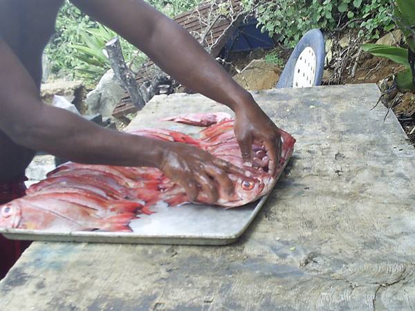 Hands cleaning fresh red fish on a metal tray, outdoor wooden table