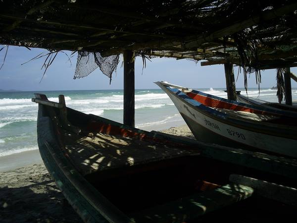 Wooden fishing boats resting under a palm-thatch shelter on the beach
