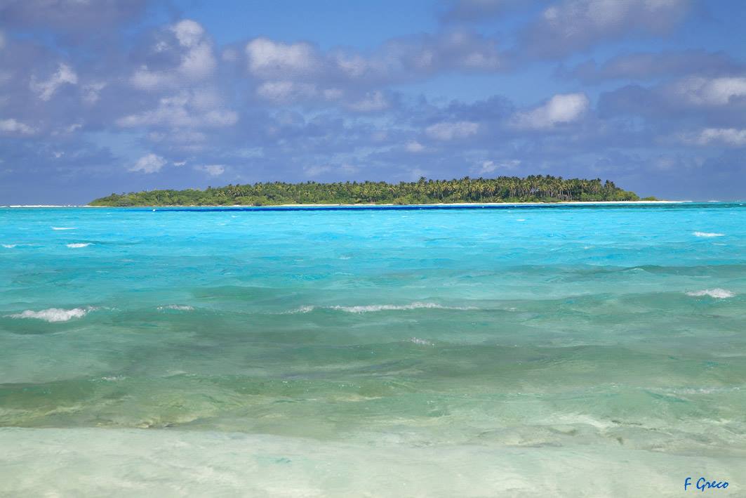 Turquoise
