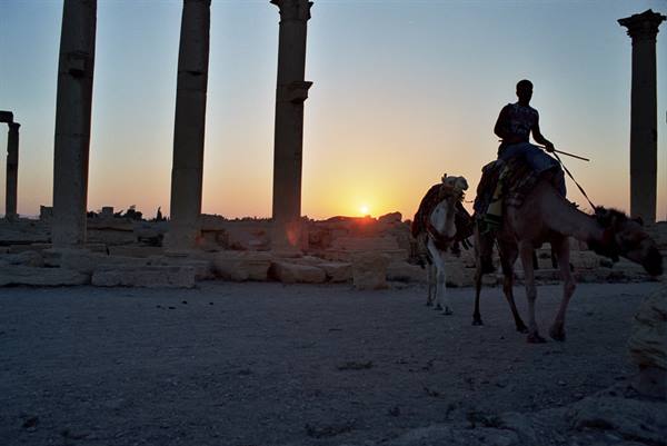 Camel rider among ancient Palmyra columns at dusk