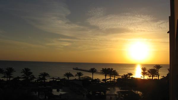 Low sun over the sea, silhouetted palms and a pier along the shore