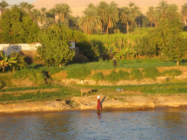 Nile landscape