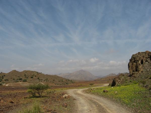 hatta