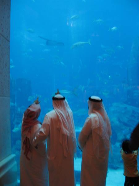 aquarium inside the Atlantis hotel