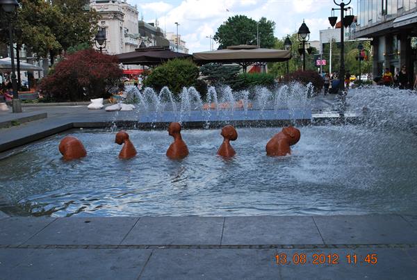 Belgrade you don't expect