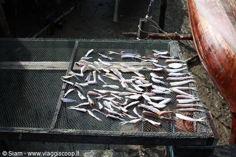 13/12/08 James Bond Island excursion, fish put out to dry