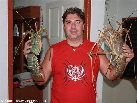 13/12/08 Lobsters ready for dinner