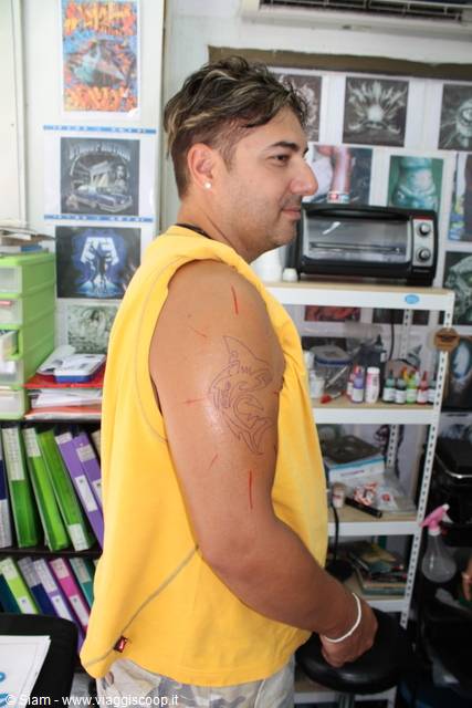 17/12/08 Tattoo, The outline design on the arm.