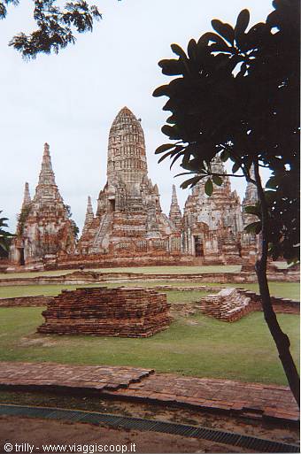 Wat Chaiwatthanaram in Ayutthaya: brick prang among ruins and trees