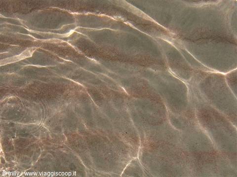 Light reflections dancing on clear water rippling over the sand