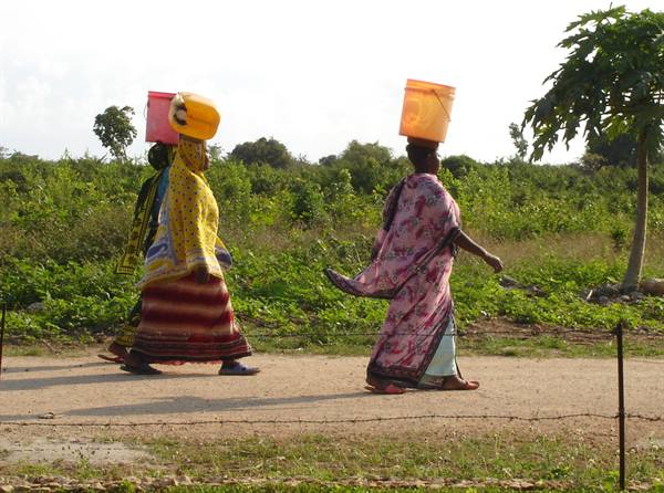 Women in colorful saris walk along the road carrying water buckets on their heads