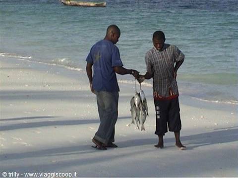 fishermen