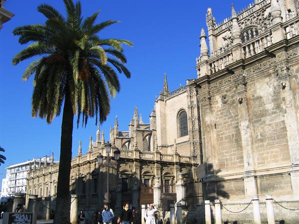 Tourists walk past Seville Cathedral, carved stone facade and palm tree under blue sky