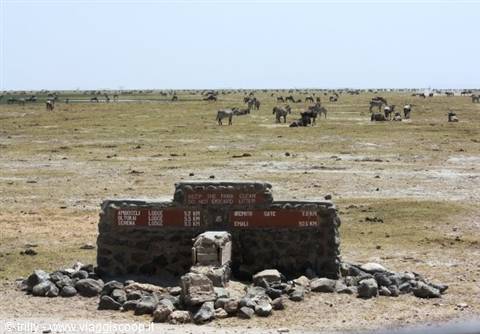 Stone signpost showing distances, zebras grazing on the savanna plain