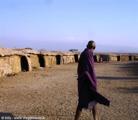 Maasai village: mud and thatch huts, man wrapped in purple cloth walking