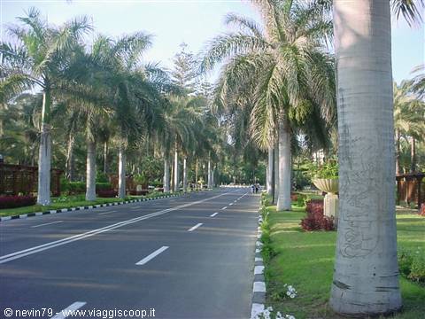 Garden of the Montaza estate (in Alexandria)