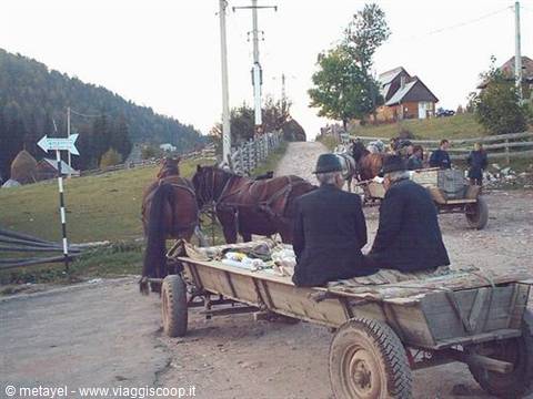 On the Apuseni mountains