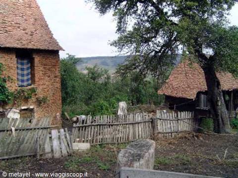 Brick houses with thatched roofs, wooden fence and large tree, hilly countryside