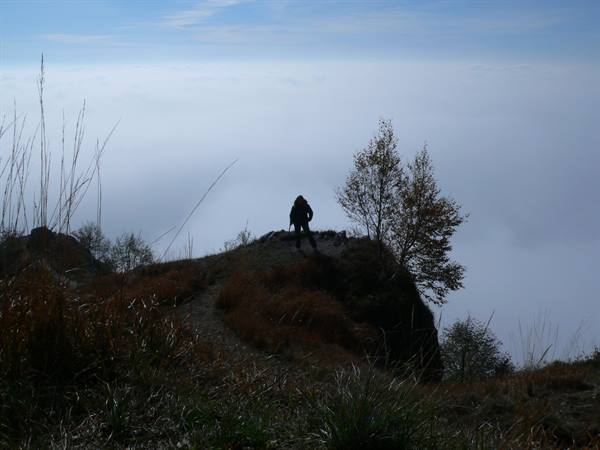 Hiker silhouetted on grassy ridge above a sea of clouds