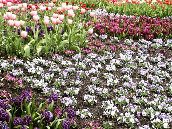 Mainau