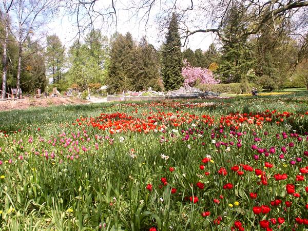 Mainau
