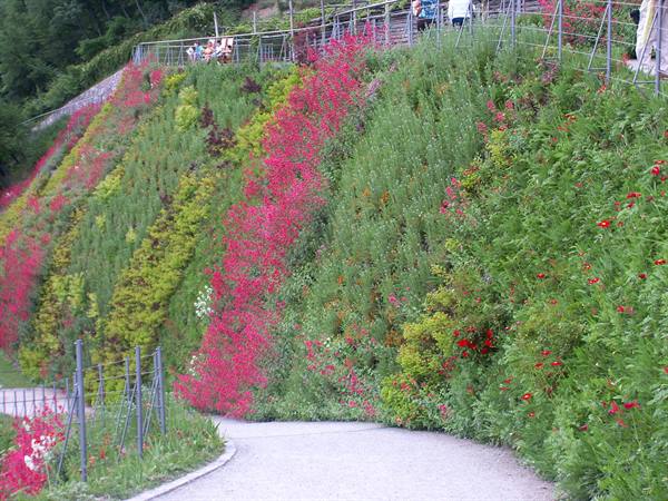 Merano 056 - Gardens of Trauttmansdorff Castle