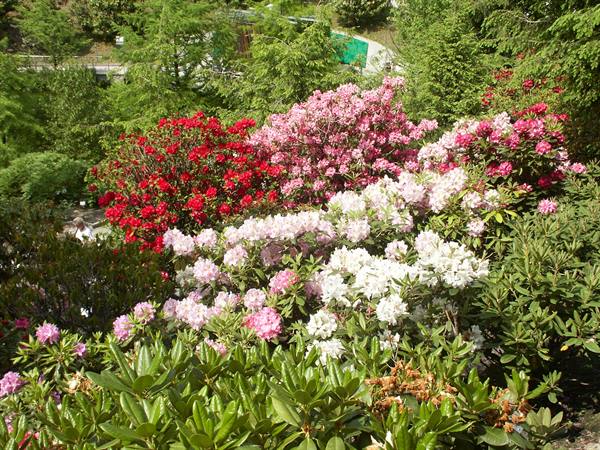 Merano 074 - Gardens of Trauttmansdorff Castle