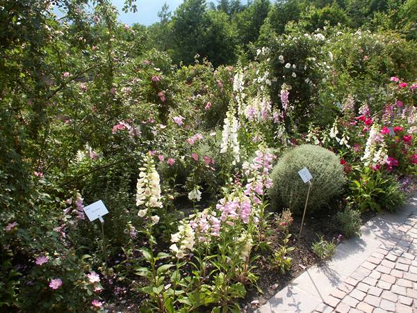 Merano 088 - Gardens of Trauttmansdorff Castle